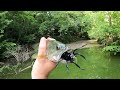 Real Spider vs. Spider Lure Fishing Challenge!
