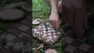 A log that’s actually a chess board?