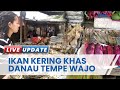 Ikan Kering Makanan Khas Danau Tempe Wajo, Penghasil Ikan Tawar Terbanyak di Sulsel