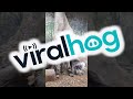 Feeding Some Very Large Porcupines || ViralHog