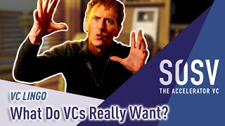 What do VCs Really Want? Part 2 - Strikeouts vs. Home Runs | VC Lingo | SOSV - The Accelerator VC