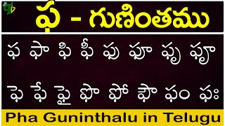 ఫ గుణింతం | Pha gunintham | How to write Telugu Pha guninthalu | Telugu varnamala Guninthamulu