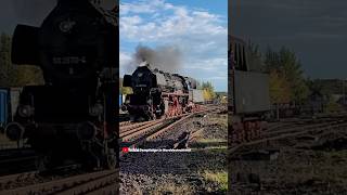 Wittenberger 50 3570-4 beim Herbstdampf 🚂😍