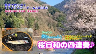 電車で釣り歩くトラウトルアーゲーム2020②前編　ジャクソン奏(かなで) 桜日和の四連奏♪