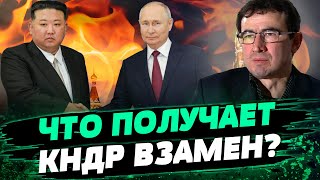 ЕСТЬ НОВЫЕ ДЕТАЛИ! Как Россия получает снаряды Северной Кореи! Секретная сделка — Алексей Ижак