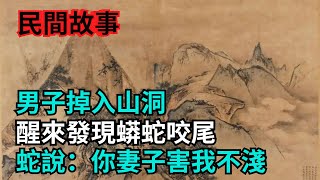 民間故事：男子掉入山洞，醒來發現蟒蛇咬尾，蛇說你妻子害我不淺【小豆知历史】 #民間故事 #奇聞異事