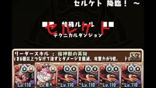 【パズドラ】セルケト降臨　ソロ周回　ニーズヘッグシステム