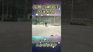 山本由伸選手のジャベリックスロー練習を練習している野球兄弟！１２歳と６歳の小学生！難しいみたいです・。【大海航路】#山本由伸 #ジャベリックスロー #少年野球 #球速アップ  #練習 #野球 #兄弟