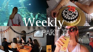 WEEKLY PARTE II I Cumple Pabli, Halloween, Loro Parque...