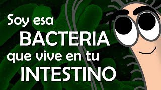 Soy Esa Bacteria Que Vive En Tu Intestino - Julinky