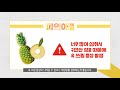 다이어트 성공 운동 전 도움되는 음식 바나나🍌 베리류🍓 파인애플🍍 아몬드🏉 통곡물🌾 블랙커피☕ 땅콩버터🥜