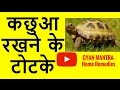 Download घर में कछुआ रखने के चमत्कारी लाभ और टोटके | Benefits Of Keeping Turtle At Home | In Mp4 3Gp Full HD Video