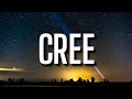 Alkaline - Cree (Lyrics)