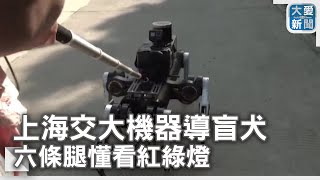 上海交大機器導盲犬 六條腿懂看紅綠燈｜大愛新聞 @DaaiWorldNews