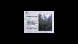 Why Plant Red Alder