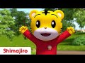 I Believe You | Friendship | 3D Full EPISODES | Episode 41-43 | Kids videos for kids | Shimajiro