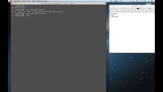 Java for Programmers: Lesson 1: Hello World!