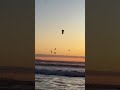 extreme kitesurfing until sunset in south africa ⚡️🚀