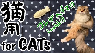 【猫用動画】ヘチマとカサカサ音 /【VideoForCats】Loofah with Rustling sound