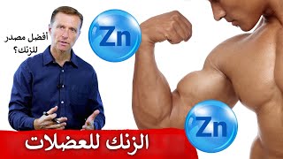 بدون الزنك لا يمكن بناء العضلات | أفضل مصدر للزنك