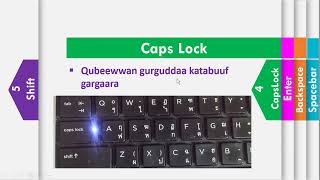 Leenjii Ogummaa ICT Bu'uuraa[Basic Computer Training]_Lesson 1: Keyboard