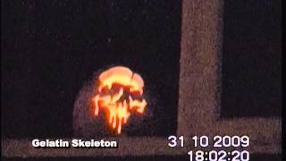 Halloween Pumpkin Designs 2009