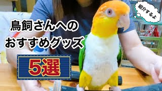 鳥飼さんへおすすめグッズ5選！/【シロハラインコ】と紹介