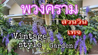 พวงคราม และสวนแบบวินเทจ ไทยผสมอังกฤษ Vintage garden