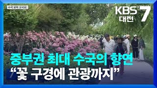 중부권 최대 수국의 향연…“꽃 구경에 관광까지” / KBS  2023.06.22.