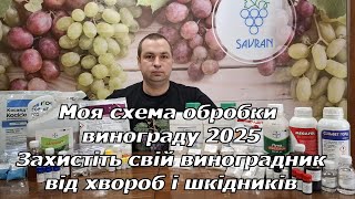 Схема обробки винограду 2025. Захистіть свій виноградник від хвороб і шкідників