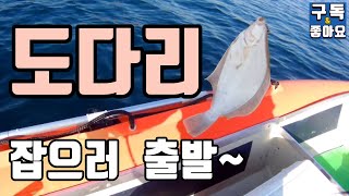 도다리 낚시 출발~ / 봄도다리 보팅낚시 /카탑보트 낚시