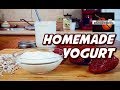 How to Make A Lifetime Supply of Yogurt! (Yogurt Recipe) | Kitchen Instruments