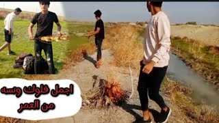 احلى فلوك و كشتة في البادية | المغامر ابن الجزيرة.