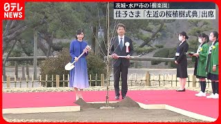 【佳子さま】“皇室ゆかりの桜”植樹式に出席  茨城・偕楽園