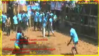 A.Vellodu GK Gopal Jallikattu world's