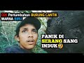 Gokil😮⚡ Pertumbuhanya Cepat Sekali Burung ini || @ragam video aris