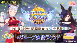 【ウマ娘】【4K】#チャンピオンズミーティングLONG　グレードリーグA決勝　#チャンミLONG　2024/12　#ウマ娘プリティーダービー