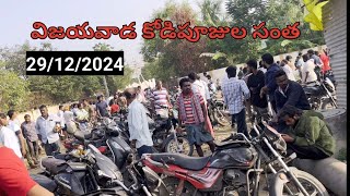 Vijayawada kodipunjula market chapala market #kodipujulusales nattupunjulu sales