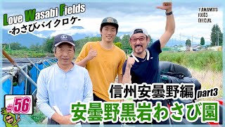 【Love Wasabi fields -わさびバイクロケ-信州安曇野編3】信州安曇野（長野県）へ行ってきましたPart3【わさびチャンネル56】