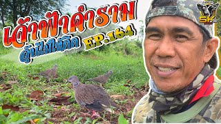 ต่อนกเขาใหญ่ | เจ้าฟ้าคำราม | ลุ้นให้ไม่ติด EP.164