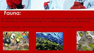 Recursos naturales de colombia grado cuarto presentación 5