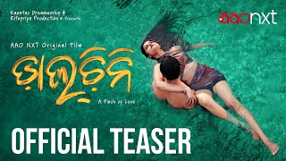 Daalcheeni | Official Teaser | Odia Romantic Movie | Partha, Suryamayee | 28th December | AAO NXT