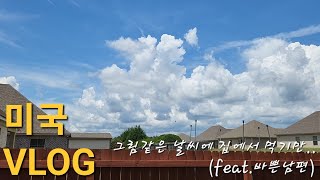 [US]미국 주부 일상 VLOG:바쁜 남편덕분에 날씨 좋은 주말에도 집콕만하는 일상. 월마트네이버후드 털기. 아마존 쇼핑. LG코드제로. 무수분수육. 핫도그. 연어스테이크