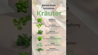 Kenne diese 6 Heilsamen Kräuter #gesundheit #gesundheitsblatt #kräuter #followme