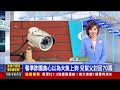 2024.12.17 晚間大頭條：國小球隊教練伸狼爪 受害31人最小二年級生【台視晚間新聞】