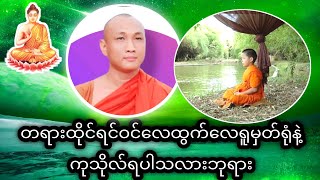 တရားထိုင်ရင်ဝင်လေထွက်လေရူမှတ်ရုံနဲ့ကုသိုလ်ရပါသလားဘုရား#တရားအမေးအဖြေများ #တရားအမေးအဖြေ