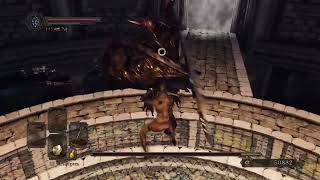 Dark Souls 2 - Dragonrider SL1