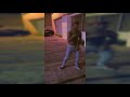 Sammy Mundial - Freestyle 2018