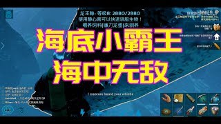 ARK-方舟生存進化手機版趙哥龍王鯨海中小霸王馴服教程