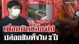 ทน 3 ปี ซื้อบ้านหรูแต่เพื่อนบ้านเลี้ยงไก่ขันทั้งวัน เครียดต้องพบแพทย์ | 20 ม.ค. 68 | ไทยรัฐนิวส์โชว์